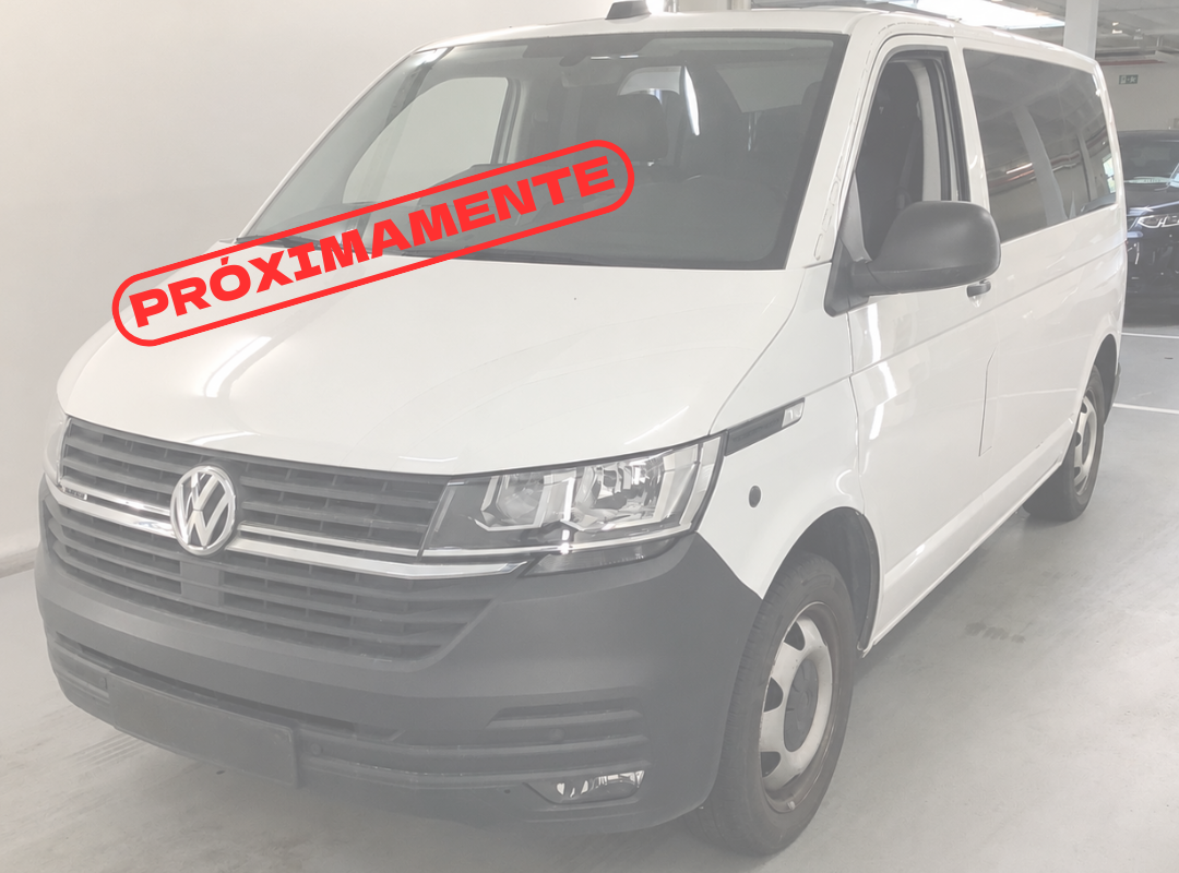 Volkswagen Transporter T6.1 4MOTION